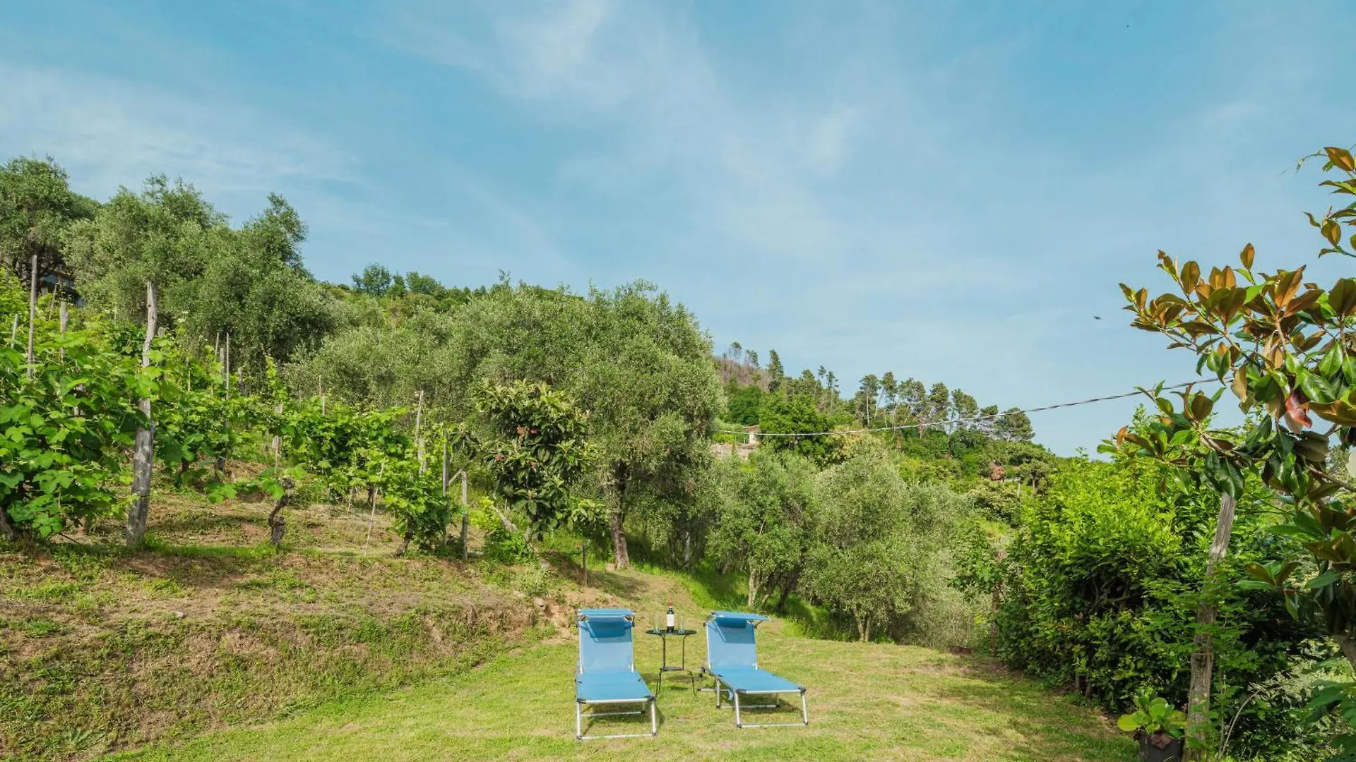 Holiday Home Margherita By Interhome Montignoso 0*,  Italy