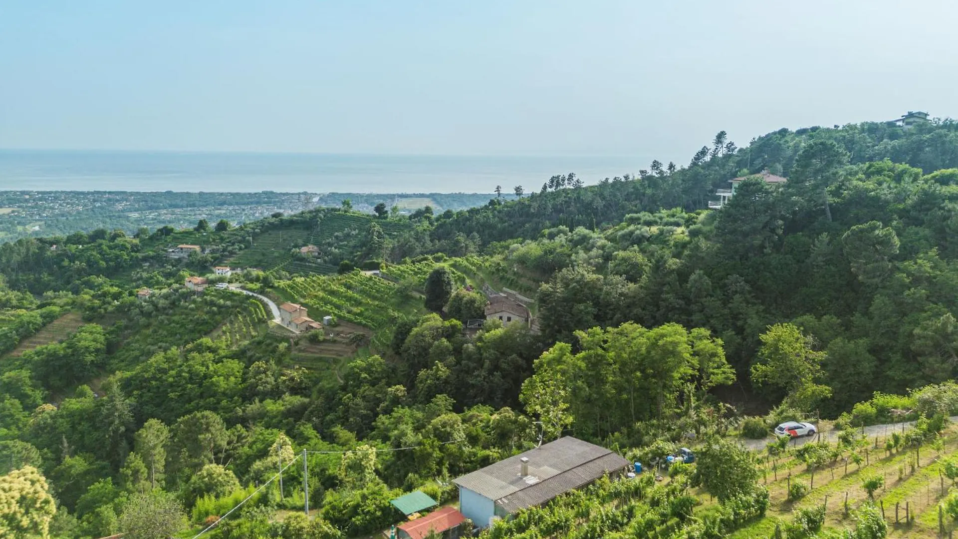 Holiday Home Margherita By Interhome Montignoso Italy
